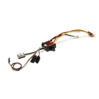 Horizon Hobby - FIRMA 40A Lite Smart WP Brushed ESC...