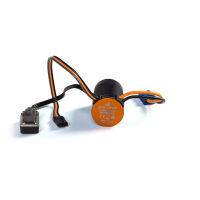 Horizon Hobby - Firma BL Motor/ESC 2-in-1 Combo, 6000Kv...