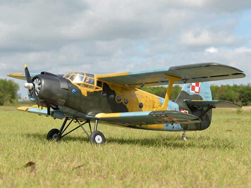 Black Horse - Antonov AN-2 Doppeldecker - 2425mm