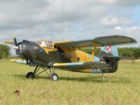 Black Horse - Antonov AN-2 Doppeldecker - 2425mm