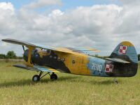 Black Horse - Antonov AN-2 Doppeldecker - 2425mm