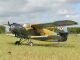 Black Horse - Antonov AN-2 Doppeldecker - 2425mm