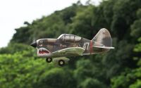 Pichler P-40 Flying Tigers / 320 mm (15803)