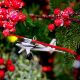Horizon Hobby - 2022 Turbo Timber Evolution Tree Ornament (HHD22ORNAIR)