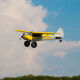 Horizon Hobby - Carbon Cub S 2 1.3m RTF Basic (HBZ320001)