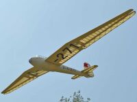 Pichler - Kranich (Laser Cut Kit) - 3000mm