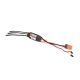 Horizon Hobby - Avian 70-Amp Smart Lite Brushless ESC, 3S-6S: IC5 (SPMXAE70C)