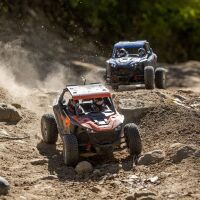 Horizon Hobby - RZR Rey, 1/10 4WD Brushless RTR, FOX (LOS03029T2)