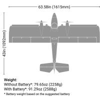 E-flite - Twin Timber 1.6m BNF Basic mit AS3X & SAFE...