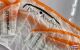 Para-RC - Gleitschirm STABLE RACE 2.1 RAST orange/weiß