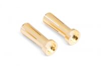 MIBO Gold Plugs - 5mm (2pcs)