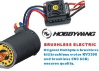 HSP Vortex PRO 1/10 2,4 GHz Brushless Buggy, blau