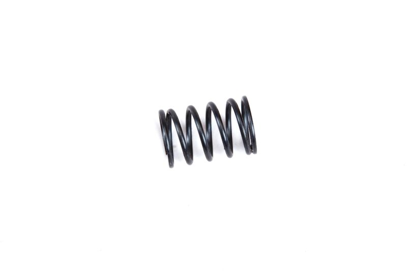 GM Racing - Federn hinten