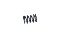 GM Racing - Federn hinten