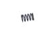 GM Racing - Federn hinten