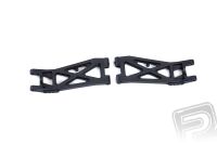 GM Racing - Untere Querlenker hinten (2)