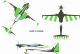 Pilot RC - 67" Laser 1702mm 35cc Green-Black (4ST2067L-07)
