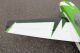 Pilot RC - 115" Extra NG 2920mm 150cc Green-Black (4ST22115E-02)