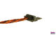 Hacker Motor EWC9-S-Flächenstecker (4250320272175)