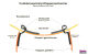 Edelstahl-Scharnierhebel 32 mm für Einziehfahrwerksklappen (4250320275855)