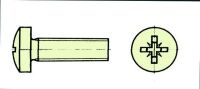 Extron Nylonschr. Zylk. mit Kreuz M 4X10 (VE=10St.) (X0643)