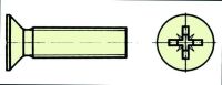 Extron Nylonschr. SK mit Kreuzsch M4X10 (VE=10St.) (X0584)