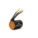 Spektrum Smart - Firma 3652 3800Kv 4-Pole Brushless Motor Motorcycle (SPMXSM3200)