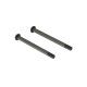 Arrma - Screw Hinge Pin M4x48mm (2) (ARA727448)