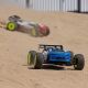 Losi - 1/8 8IGHT-XTE 4WD Sensored Brushless Racing Truggy RTR (LOS04020)