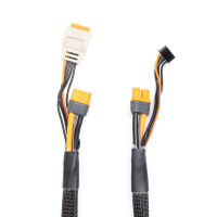 Spektrum Smart - Charge Lead with Balance Extension 24...