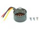 FliteZone Hauptmotor MD500 (15977)