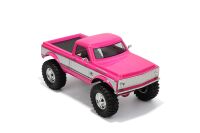 RGT - SHOOTER 1/10 Set 2,4GHz, rosa (RGT-136100PRO-1)