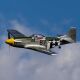 P-51D Mustang 1.0m BNF Basic mit AS3X+ & SAFE Select - 1002mm