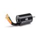 Spektrum - Firma 3650 4000Kv 4-Pole Sensorless Brushless Motor: 5mm (SPMX-1096)