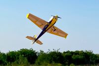 OMP - 67" Extra NG ARF - Goldene 1,7m (OMPP011GLB)