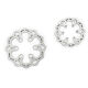 Pro-Line Racing - 1/4 Euro Style Steel F/R Brake Rotor Set: Promoto-MX/SM (PRO642000)