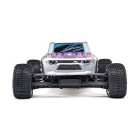 Micro-T 2S 2WD RTR Stadium Truck silber - 1:28