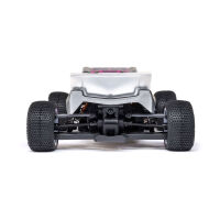 Micro-T 2S 2WD RTR Stadium Truck silber - 1:28