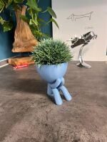Hydroponic Kratky Robert Planter - Iwazaru