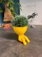 Hydroponic Kratky Robert Planter - Innocent