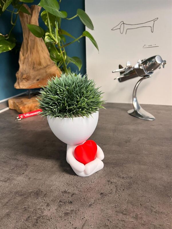 Hydroponic Kratky Robert Planter - Heart