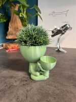 Hydroponic Kratky Robert Planter - Double