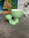 Hydroponic Kratky Robert Planter - Double