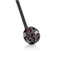 Hobbywing - XRotor 2807 D34x20 D5 1300kV 6s Lipo (HW30418000)