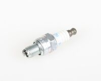 Himoto - (HM50053)