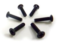 Himoto - Flat Head Screws 3X14 6P (HM31060)