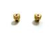 Himoto - Pinion Gear 13T 2pcs (HM28602)