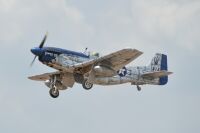 Mustang P51 GP/EP 61CC SCALE 20% ARF Carbon - 2220mm