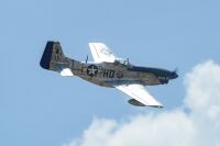 Mustang P51 GP/EP 61CC SCALE 20% ARF Carbon - 2220mm