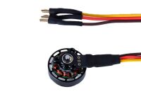 OMP - (OSHM2421)
